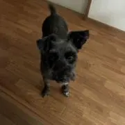 Ro