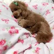 えちゃんまん(*^o^*)の画像