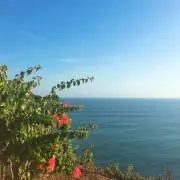 nc⭐︎セール中の画像