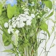 yukiの画像