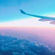 みの画像