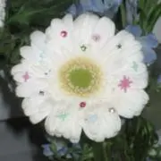 いのの画像
