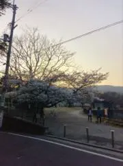 およの画像