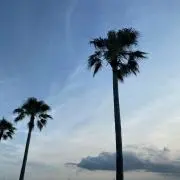 soの画像