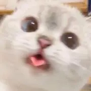 ゆき‪