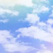京都Sky  激安オークション開催中！の画像