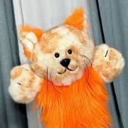 どんこの画像