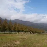 bunの画像