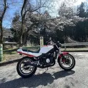 Hの画像