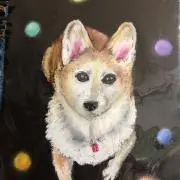 きららの画像