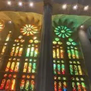 右京の画像