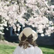 saiの画像