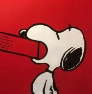 カロリの画像