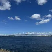せいの画像