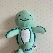ほぬの画像