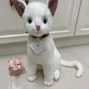 ころたんの画像