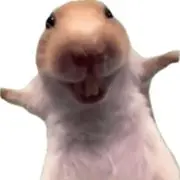 ゆで卵の画像
