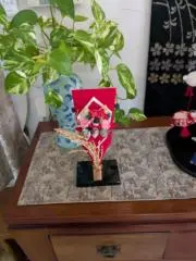 stella*断捨離中( ^ω^ )*の画像