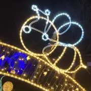 ゆらGの画像