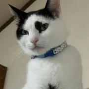 ひとみんの画像