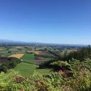 Kentの画像