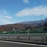 はっぱの画像
