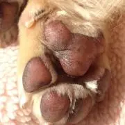 usakosaの画像
