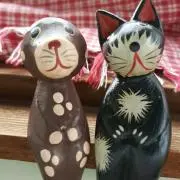 どんぐりの画像