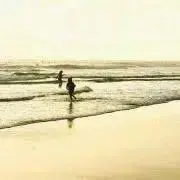 n.eta.の画像