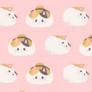 にゃんころの画像