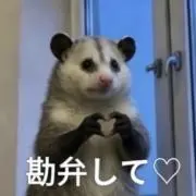 TGPの画像