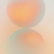 nnの画像