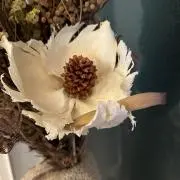 madoka.d.kの画像