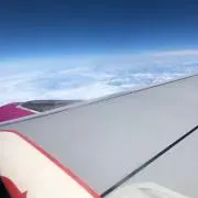 チャッキーの画像