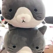 なっぱの画像