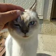 Youtaroの画像