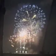 ささの画像