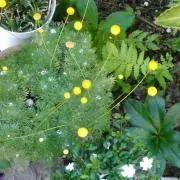Spring☀Morning8/1-2休の画像