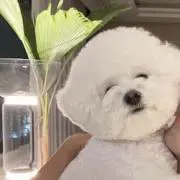 guの画像