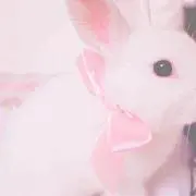 こめの画像