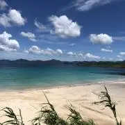 アフロの画像