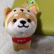 マンゴーイエローの画像