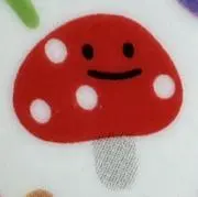 きのの画像