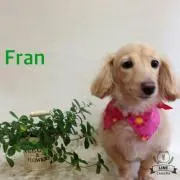 フラン★