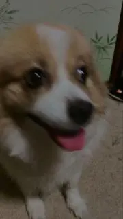 masaの画像