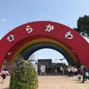 蒼