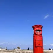 ばの画像