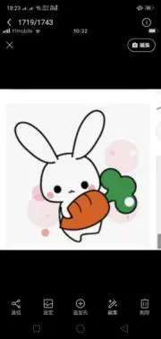 ユキ