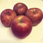 そその画像