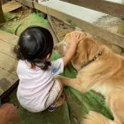 だだんだんの画像